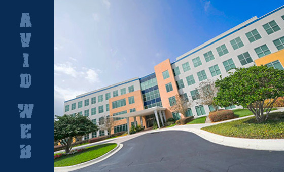 Avid Web Design Orlando